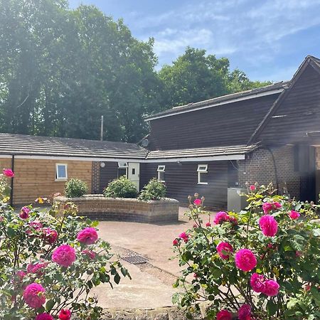 The Rose Cottage Wisborough Green Eksteriør bilde